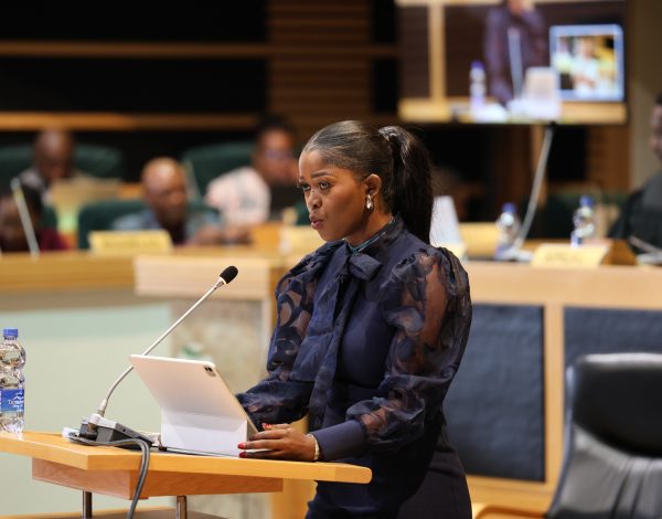 MEC Sibulele Ngongo Charts 2025,26 Vision for Sport, Arts, and Culture